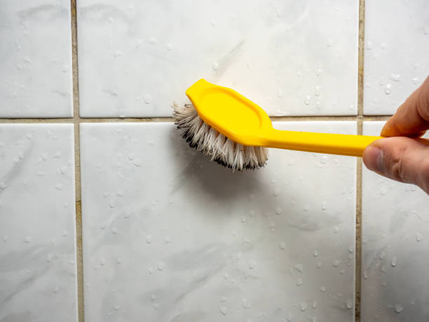 Best Certified Mold Removal  in Pine Hills, FL