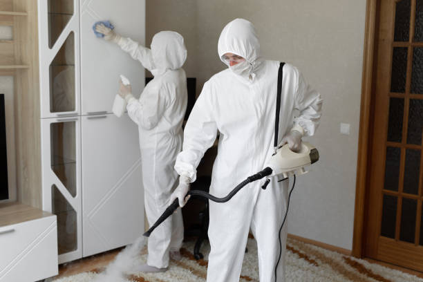 Crawl Space Mold Removal in Pine Hills, FL